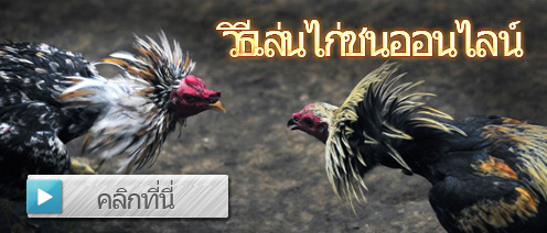 ตีไก่ออนไลน์